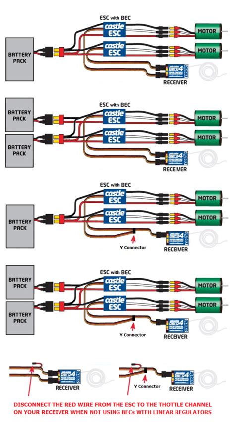 BECs and ESCs – gr33nonline
