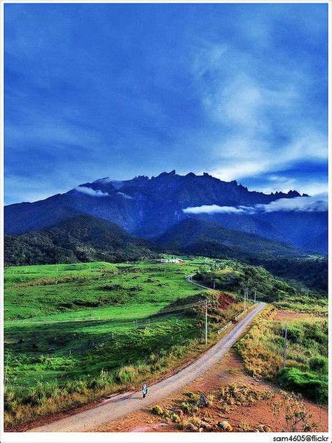 U also can arrange ur own time when and where u want to go what food & drink options are available at suang noh homestay kundasang? Mesilau Desa Dairy Farm - Kundasang Sabah | Country roads ...