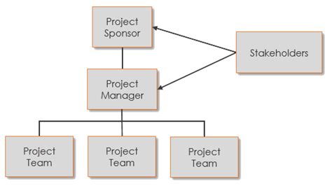 The Project Organization Chart