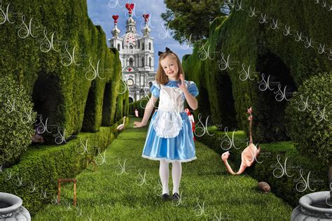 Alice In Wonderland Castle And Croquet Digital Backgrounds Etsy