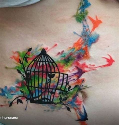Birds Bursting To Freedom From A Cage Tattoo With Beautiful