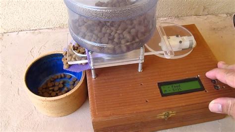 Automatic Cat Feeder - YouTube