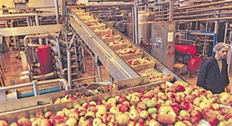 Govt Expects Leading Players In Food Processing Sector To Showcase