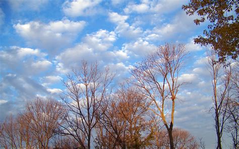 Autumn Trees And Clouds 3 Free Stock Photo Public Domain Pictures
