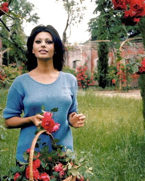 Sophia Loren Legendary Actress And Sex Symbol 8x10 Publicity Photo Aa 142 887 Picclick