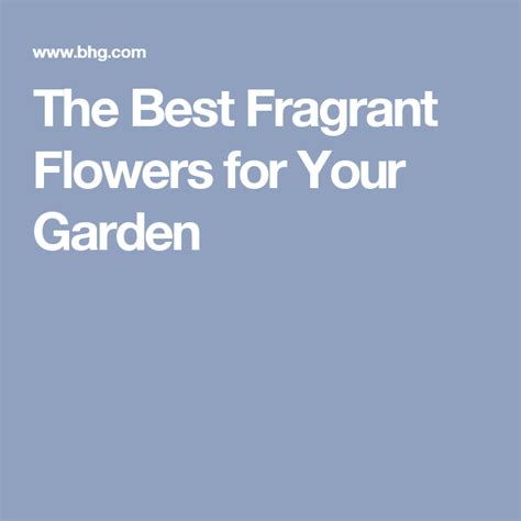 23 Of The Most Fragrant Flowers That Will Add Sweet Scents To Any