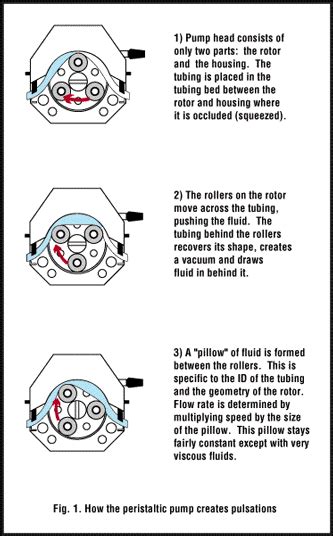 Masterflex Tubing Compatibility Chart A Visual Reference Of Charts