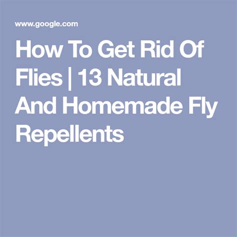 How To Get Rid Of Flies 13 Natural And Homemade Fly Repellents Fly
