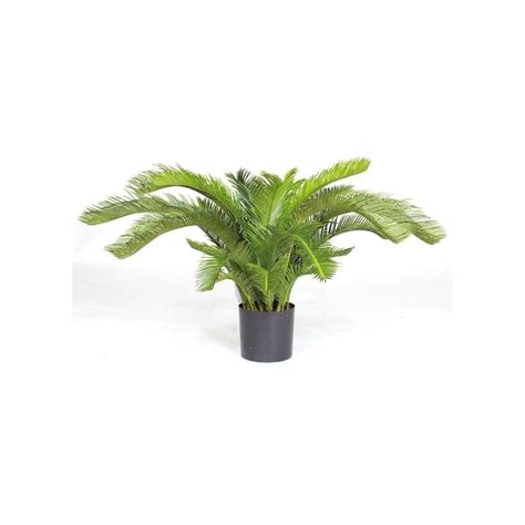 Artificial Palm Cycas Deluxe Ascend Plant Displays