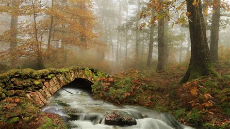 bridge fall fog river  hd nature wallpapers hd