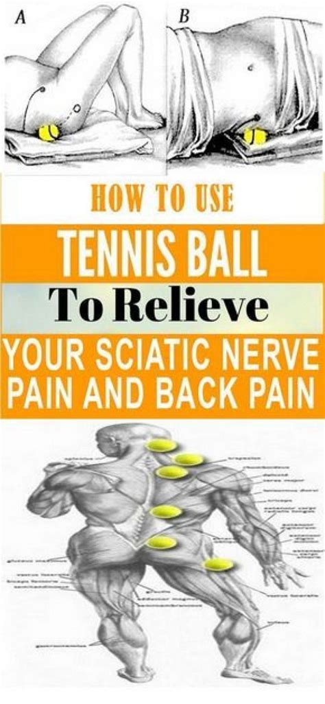 Tennis ball massages are easy to perform and can help relieve tension and improve flexibility in your muscle and nervous tissues. Pin on Lower Back Pain
