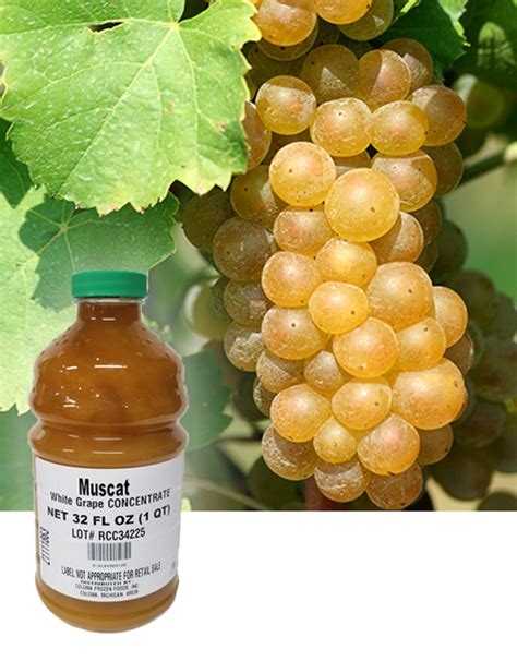 Chardonnay Grape Concentrate For Wine Beer Cider Mead