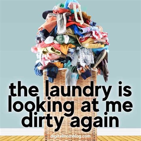 Funny Laundry Memes From Sorting To Suds Laundry Humor Laundry