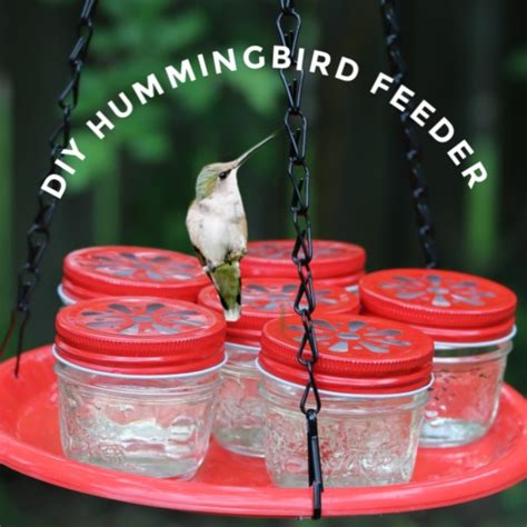 During the spring and summer, there's nothing i love more than the birds and squirrels in my front yard. Make a Hummingbird Feeder with Mason Jars | Empress of Dirt