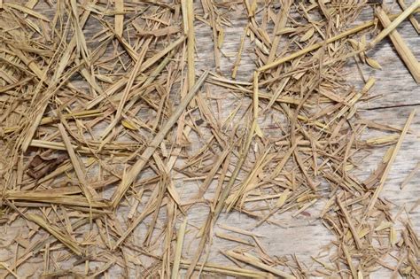 Dry Straw Stock Image Image Of Straw Wood Outdoors 74398567