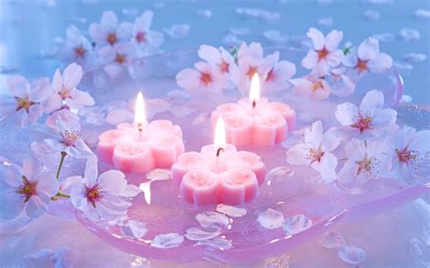 I look at you and see the rest of my life in front of my eyes. Pink Candles And Cherry Flowers Beauty Love Wallpapers Hd ...