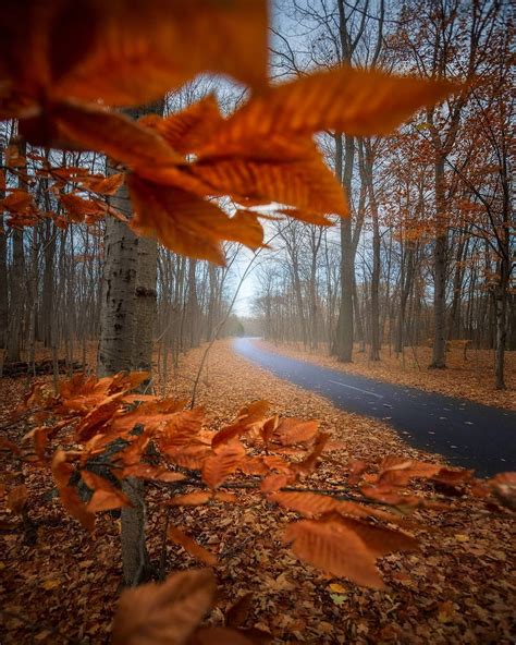 Argen Elezi On Instagram “peaceful Autumn Days 🍂” Fall Colors