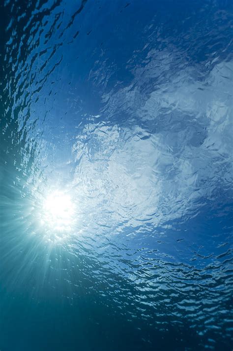 Sunlight Below Ocean Surface Photograph By Dave Fleetham Pixels