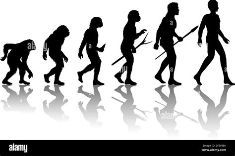 Man Evolution Silhouette Progress Growth Development Neanderthal And