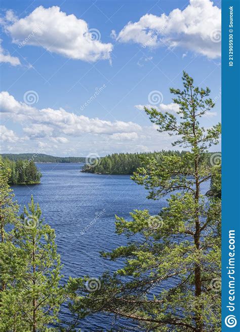 Vista La Parte Del Lietvesi Puumala De Finlandia Del Saimaa Del Lago
