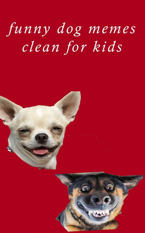 Buy Funny Dog Memes Clean For Kids Best Dog Memes Dank Dog Memes And