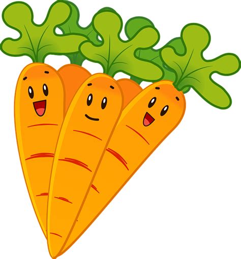 Carrots Vegetables Healthy · Free Vector Graphic On Pixabay