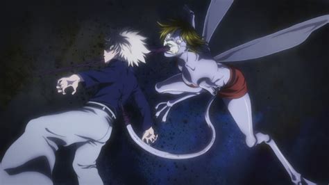 9 Who Are The Ants In Hunter X Hunter Secrets You Never Knew Paloma