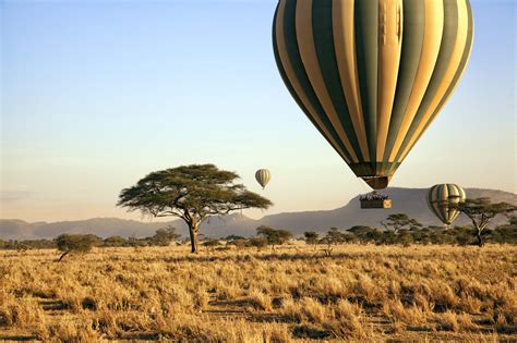the 12 best things to do in tanzania lonely planet