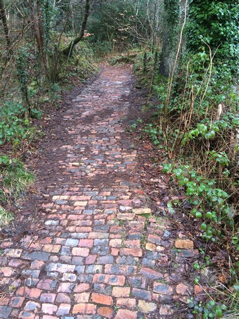 Old Brick Path In Wood Lands Wern Ddu Caerphilly Brick Path Old