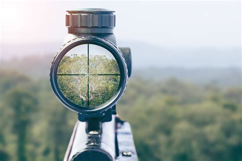 A Hunters Guide How To Sight In Your Scope