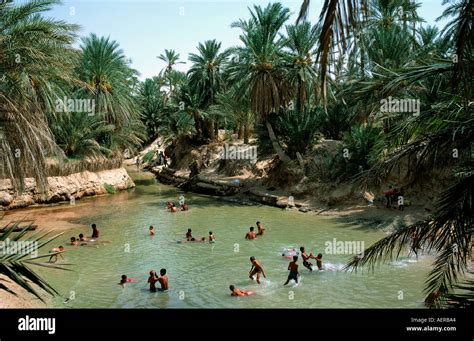 Playing Children Oasis Of Nefta Tunisia Stock Photo Alamy