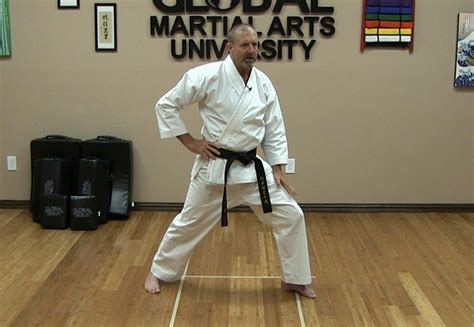 The Complete Beginners Guide To Shotokan Karate Global Martial Arts
