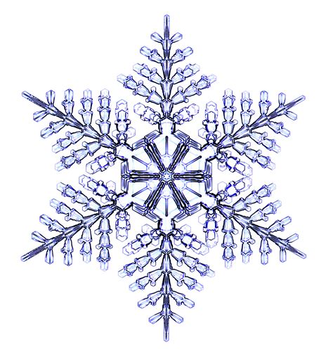 Snowflake Snowflakes Snow Crystal Snowflake Pictures