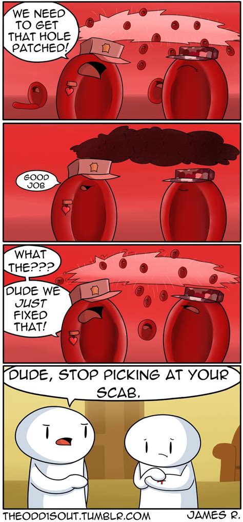 Pin On Red Blood Cell