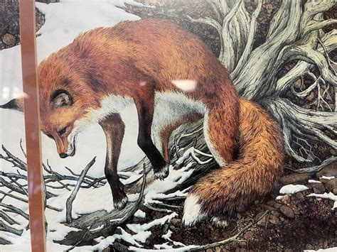 Lot 64 Framed Print Of Fox Titled Missed By Bev Doolittle Bay