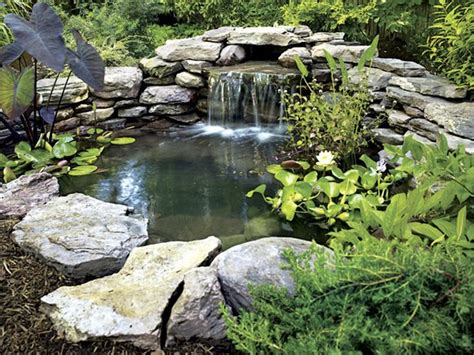 So your exciting diy project won't turn into a fuss, it becomes very important that you should know how to build a pond in the backyard. Sprinkler Juice: How To: Build a Backyard Pond