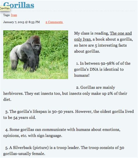 Students Can Research 5 Interesting Facts About Gorillas To Present To