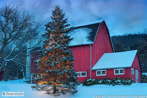 Iconic Red Barn Christmas Tree With Lights Winter Scene