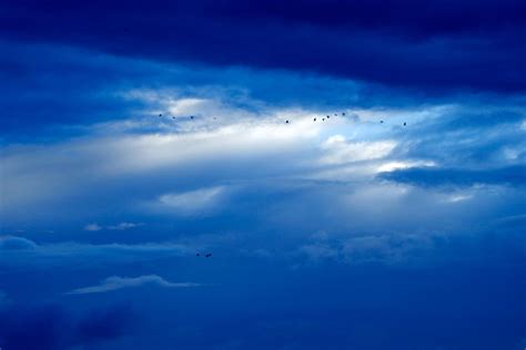 2500x1650 Blue Clouds Sky Birds Wallpaper Coolwallpapersme