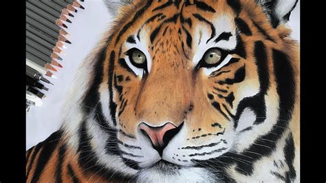 Introduzir 116 Imagem Desenhos De Tigres Realistas Br Thptnganamst