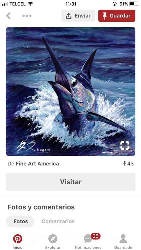 Pin By Fernanda Felix On Pinturas Ideas Fish Drawings Saltwater