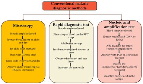 Tropicalmed Free Full Text Evaluation Of Malaria Diagnostic Methods