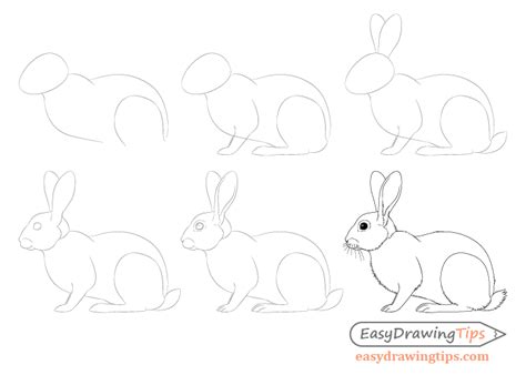 Cartoon Rabbit Drawing Step By Step At Drawing Tutorials