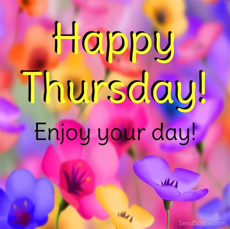 thursday morning quotes good morning happy thursday happy thursday quotes thursday humor