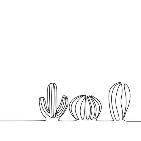 Minimalist Cactus Line Drawing 558x400 Minimalist Cactus Line Drawing