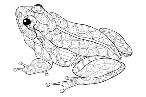 Adult Coloring Bookpage A Cute Frog Image For Relaxing Stock Vector