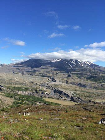 Check spelling or type a new query. Mount St. Helens Visitor Center (Castle Rock) - 2021 All You Need to Know Before You Go (with ...