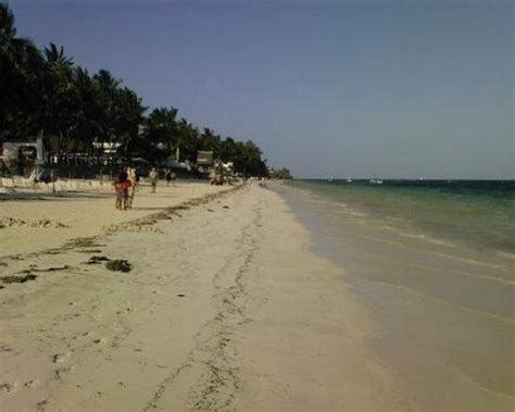 Beach Xxx Fotograf A De Mombasa Provincia De La Costa Tripadvisor