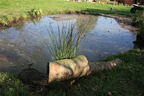 What is required to build a pond? HOW TO BUILD YOUR OWN WILDLIFE POND 1 (With images ...
