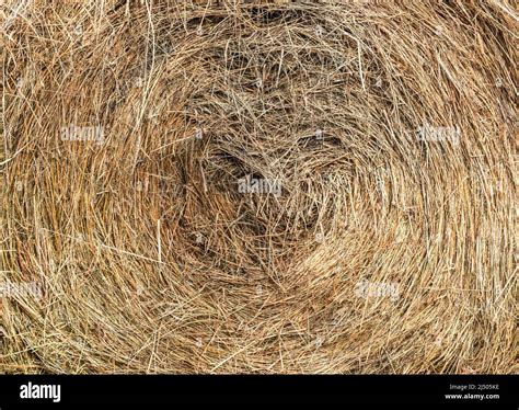 A Closeup Of A Round Bale Of Hay This Is The Type Of Bale Used On